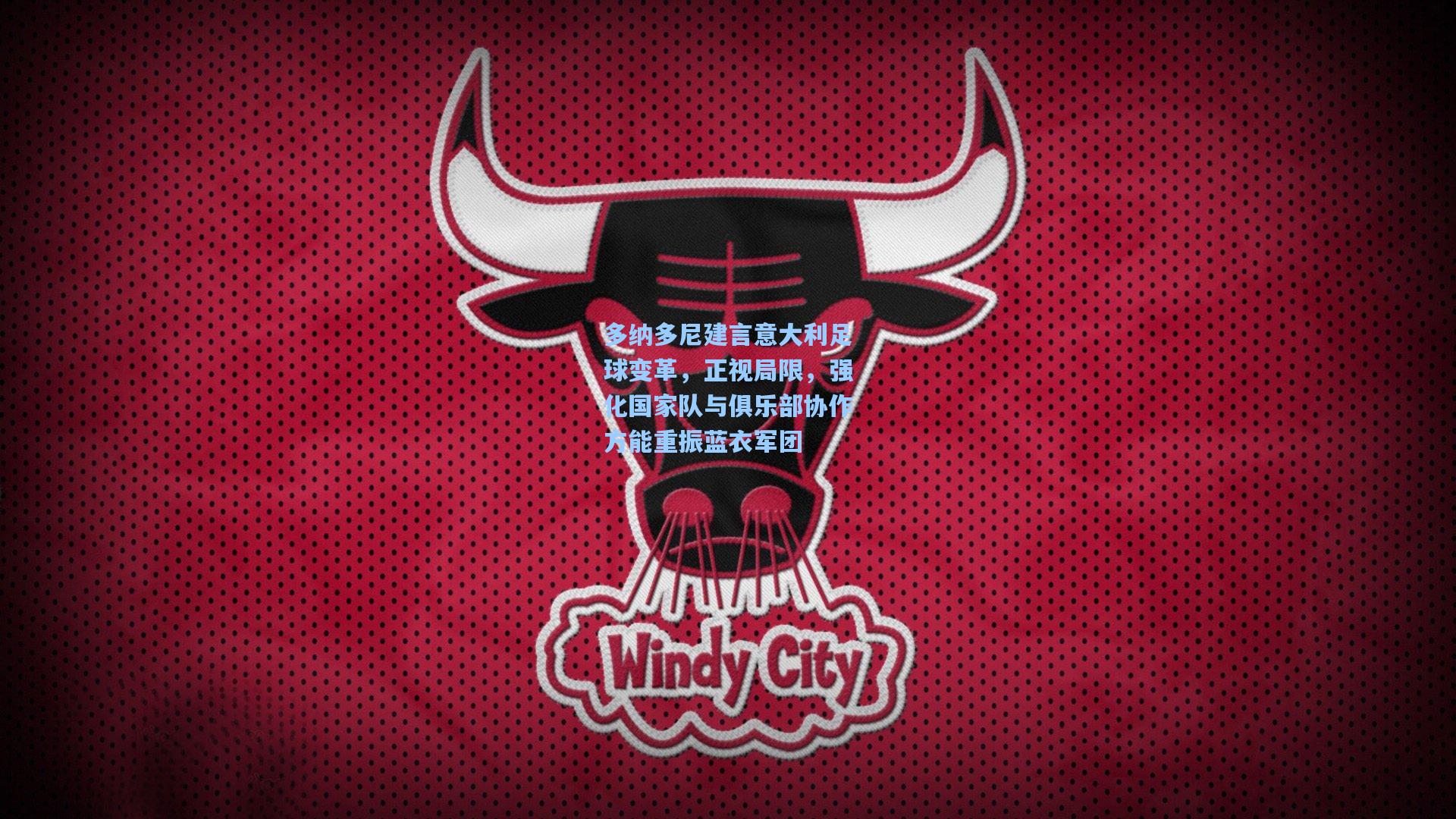 多纳多尼建言意大利足球变革,正视局限,强化国家队与俱乐部协作方能重振蓝衣军团